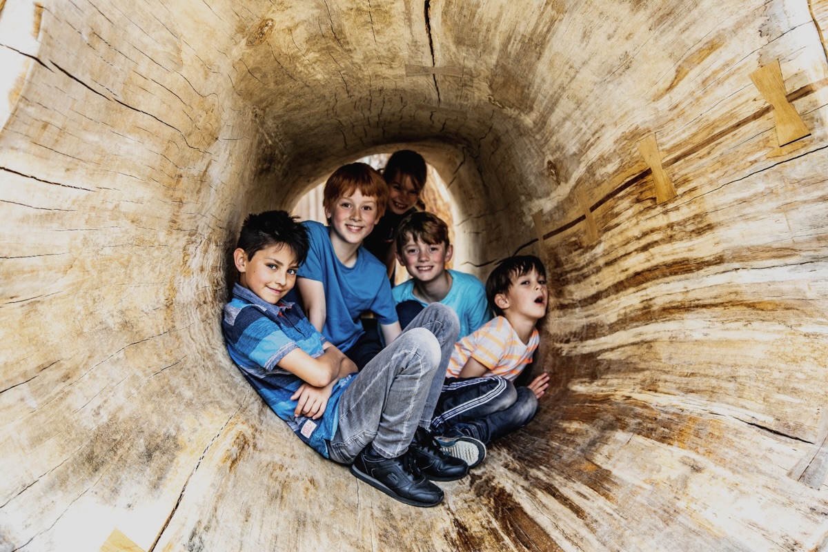Colour photo of children huddled in hollow wooden log at Bicester Village adventure playground