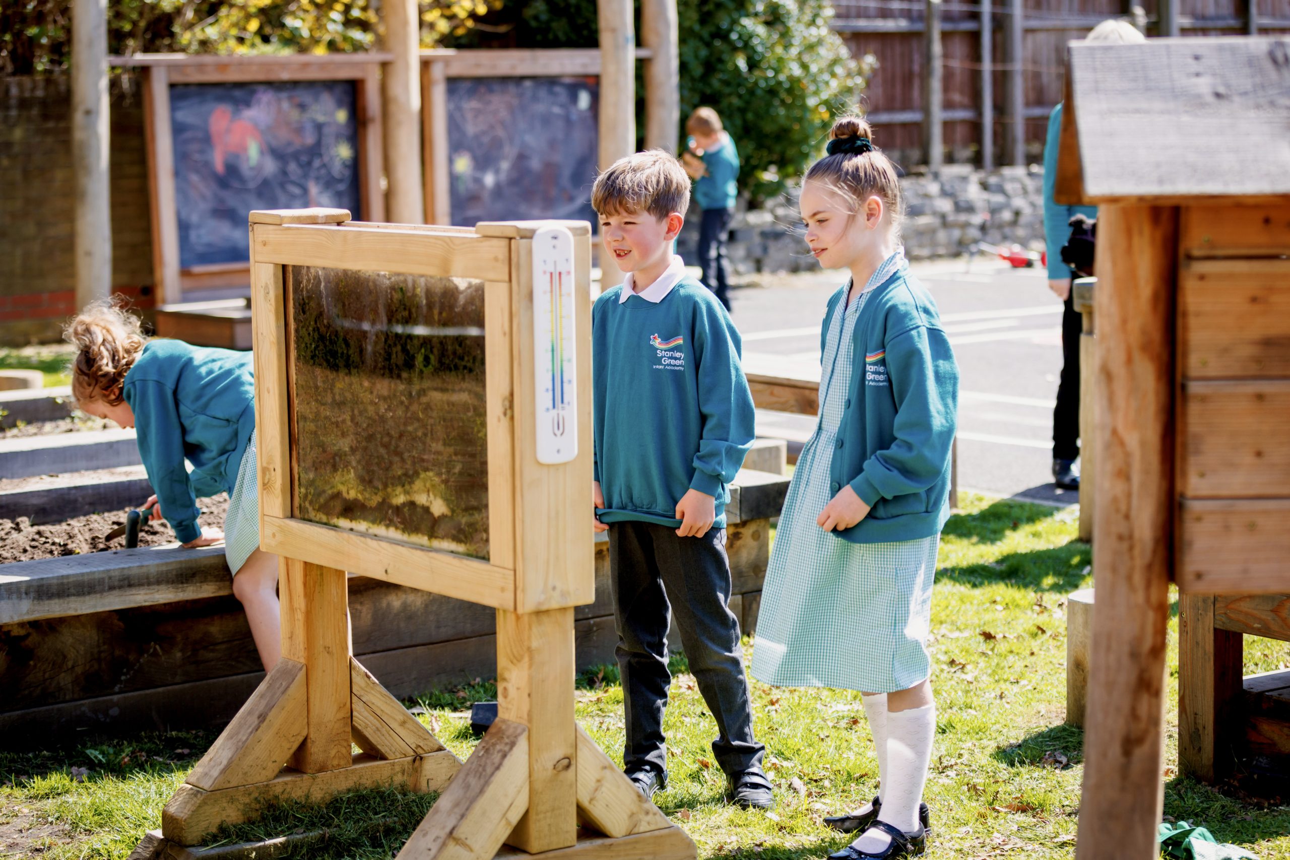 Colour photo of children looking at ant house at Stanley Green school playground